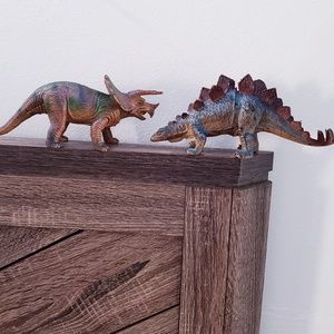 Stegosaurus and  triceratops dinosaurs
